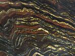 Polished Tiger Iron Stromatolite - ( Billion Years) #64010-1